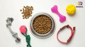 A bowl of pet food surrounded by pet toys, collars, etc.