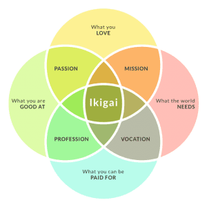 Ikigai and public education