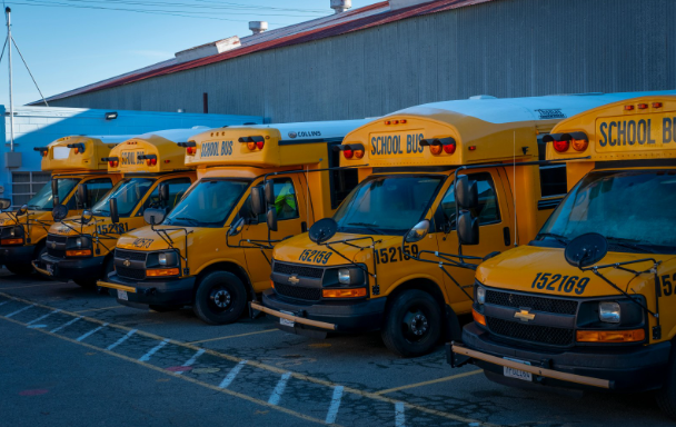 Row of yellow school buses parked side by side in a lot, front ends facing the camera, with a blue building in the background